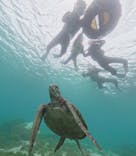 ちゃこたびに投稿された画像（2025/1/3）