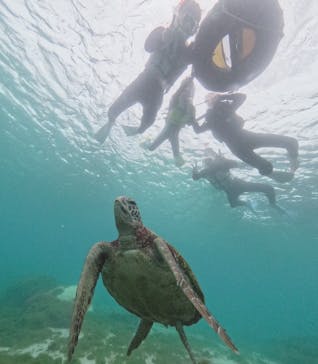 ちゃこたびに投稿された画像（2025/1/3）