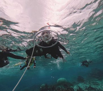 ちゃこたびに投稿された画像（2025/1/3）