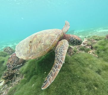 ちゃこたびに投稿された画像（2025/1/3）