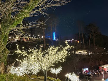 西武園ゆうえんちに投稿された画像（2025/1/3）