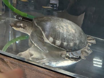 NARA IKIMONO MUSEUMに投稿された画像（2025/1/3）