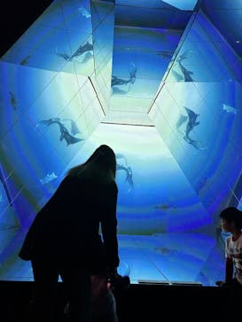 Little universe OKINAWAに投稿された画像（2025/1/3）