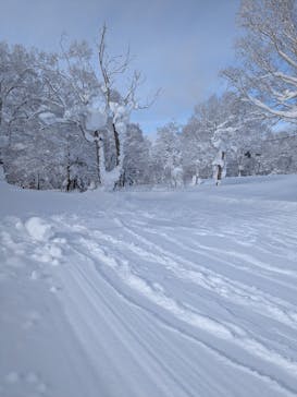 秋田八幡平スキー場に投稿された画像（2025/1/3）