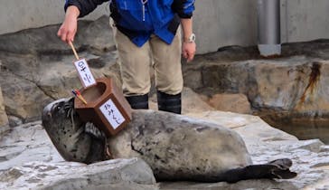 しながわ水族館に投稿された画像（2025/1/3）