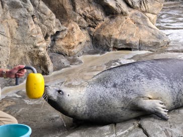 しながわ水族館に投稿された画像（2025/1/3）