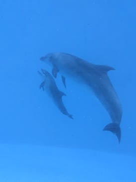 名古屋港水族館に投稿された画像（2025/1/3）