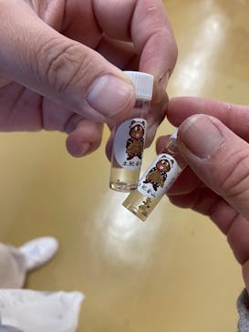 土肥金山に投稿された画像（2025/1/3）