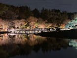 国営昭和記念公園 秋の夜散歩に投稿された画像（2025/1/4）