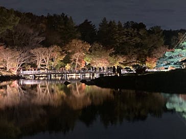 国営昭和記念公園 秋の夜散歩に投稿された画像（2025/1/3）