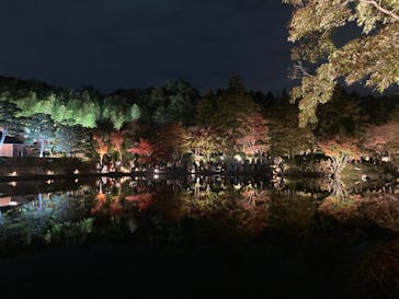 国営昭和記念公園 秋の夜散歩に投稿された画像（2025/1/3）