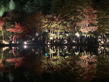 国営昭和記念公園 秋の夜散歩に投稿された画像（2025/1/3）