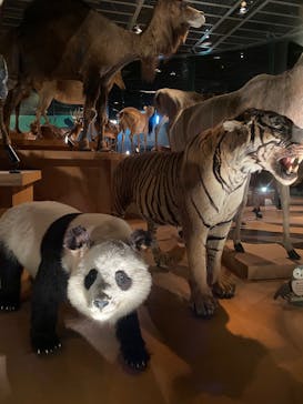 国立科学博物館に投稿された画像（2025/1/3）