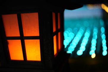 東京メガイルミに投稿された画像（2025/1/3）