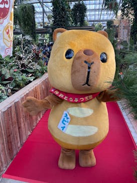 神戸どうぶつ王国に投稿された画像（2025/1/3）