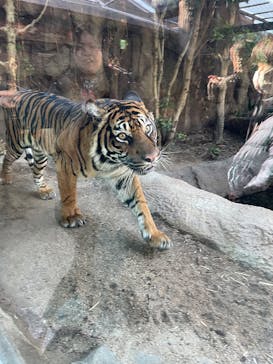 神戸どうぶつ王国に投稿された画像（2025/1/3）