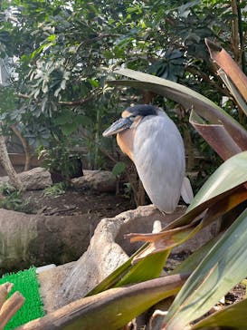 神戸どうぶつ王国に投稿された画像（2025/1/3）