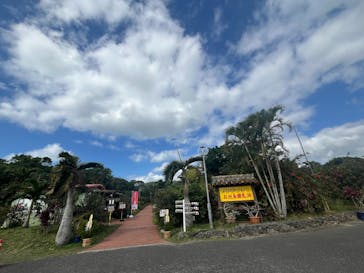 石垣島鍾乳洞に投稿された画像（2025/1/3）