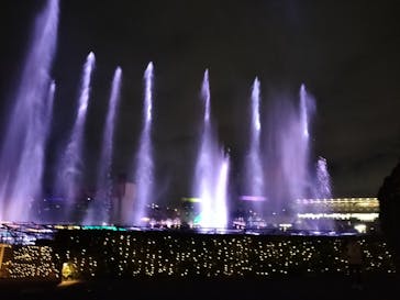 東京メガイルミに投稿された画像（2025/1/3）