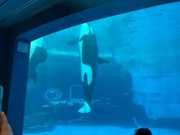 名古屋港水族館に投稿された画像（2025/1/4）