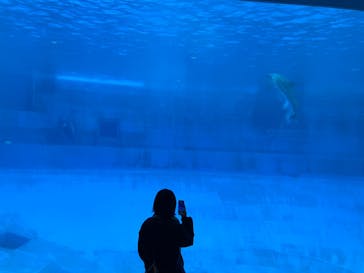名古屋港水族館に投稿された画像（2025/1/4）