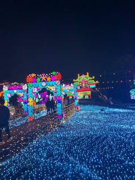 伊豆高原グランイルミに投稿された画像（2025/1/4）