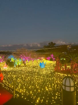伊豆高原グランイルミに投稿された画像（2025/1/4）