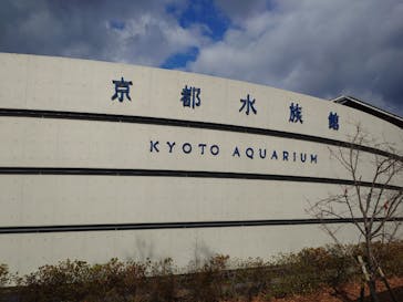 京都水族館に投稿された画像（2025/1/4）