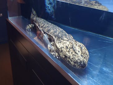 京都水族館に投稿された画像（2025/1/4）