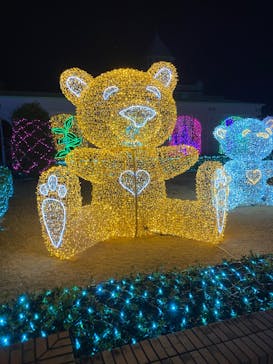 神戸イルミナージュに投稿された画像（2025/1/4）