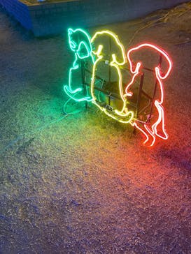 神戸イルミナージュに投稿された画像（2025/1/4）