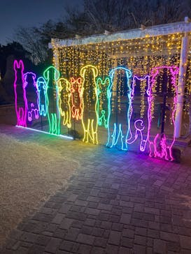 神戸イルミナージュに投稿された画像（2025/1/4）