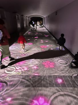 東京メガイルミに投稿された画像（2025/1/4）