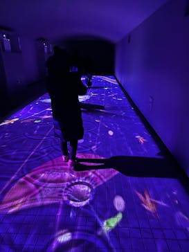 東京メガイルミに投稿された画像（2025/1/4）