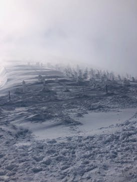 蔵王ロープウェイに投稿された画像（2025/1/4）