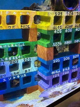 竹島水族館に投稿された画像（2025/1/4）