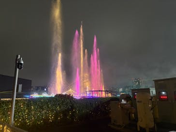 東京メガイルミに投稿された画像（2025/1/4）