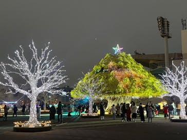 東京メガイルミに投稿された画像（2025/1/4）