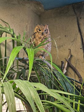 那須どうぶつ王国に投稿された画像（2025/1/4）