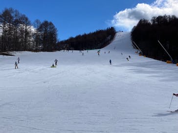 軽井沢スノーパークに投稿された画像（2025/1/4）