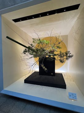 東京国立博物館に投稿された画像（2025/1/4）