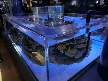 竹島水族館に投稿された画像（2025/1/4）