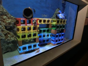 竹島水族館に投稿された画像（2025/1/4）