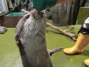 竹島水族館に投稿された画像（2025/1/4）