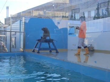 竹島水族館に投稿された画像（2025/1/4）