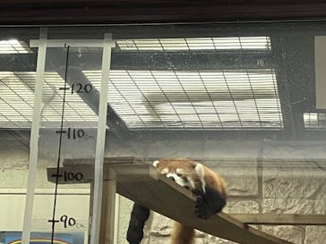 天王寺動物園に投稿された画像（2025/1/4）