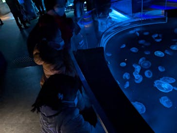 すみだ水族館に投稿された画像（2025/1/4）