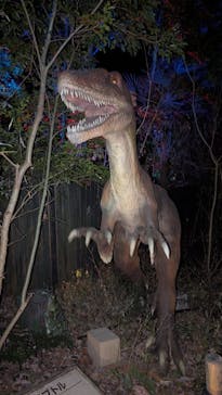 みろくの里に投稿された画像（2025/1/4）