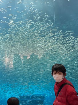 名古屋港水族館に投稿された画像（2025/1/4）