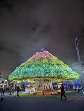 東京メガイルミに投稿された画像（2025/1/4）